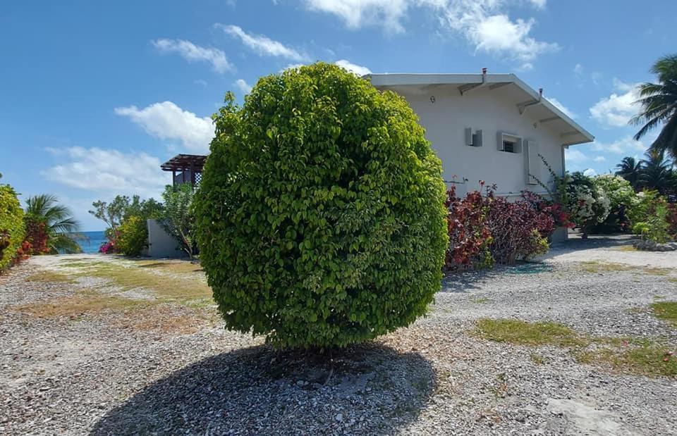 Pension Tiputa Lodge Rangiroa Экстерьер фото