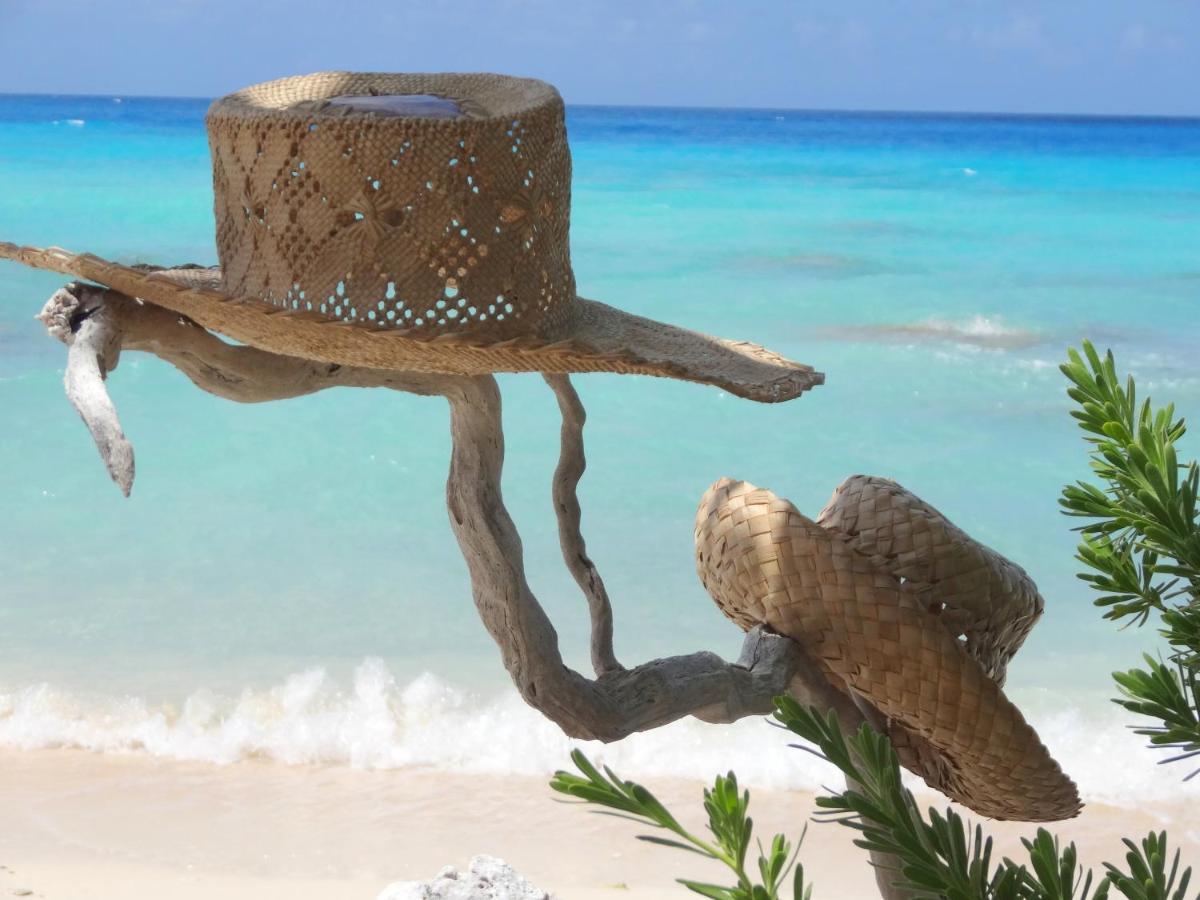 Pension Tiputa Lodge Rangiroa Экстерьер фото